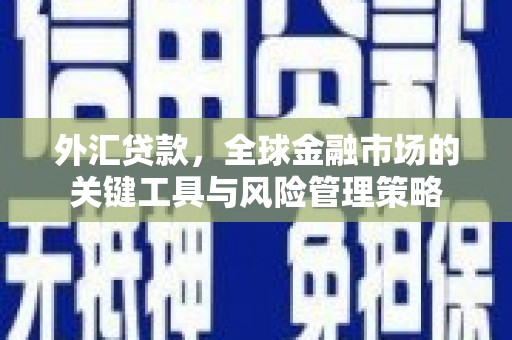 扎兰屯外汇贷款，全球金融市场的关键工具与风险管理策略