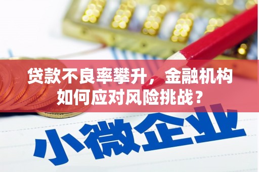 扎兰屯贷款不良率攀升，金融机构如何应对风险挑战？