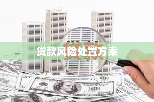 扎兰屯贷款风险处置方案