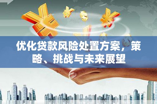 扎兰屯优化贷款风险处置方案，策略、挑战与未来展望