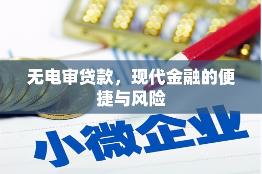 扎兰屯无电审贷款，现代金融的便捷与风险