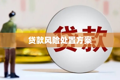 扎兰屯贷款风险处置方案