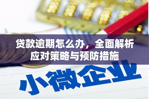 扎兰屯贷款逾期怎么办，全面解析应对策略与预防措施