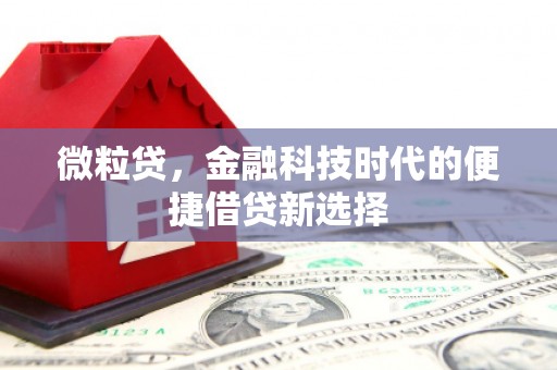 扎兰屯微粒贷，金融科技时代的便捷借贷新选择