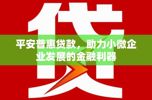 扎兰屯平安普惠贷款，助力小微企业发展的金融利器